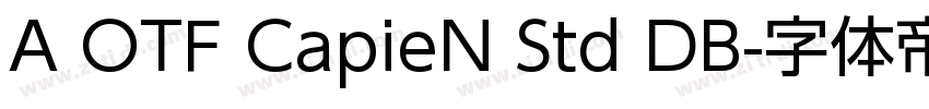A OTF CapieN Std DB字体转换